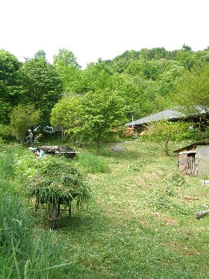 f0035962_9513873.jpg