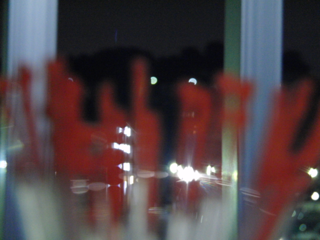 a0140863_218770.jpg