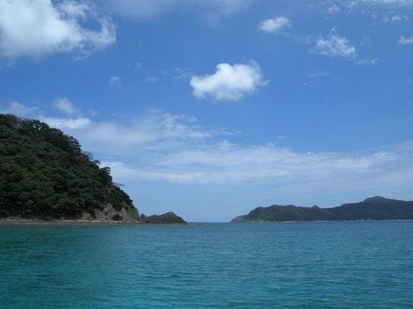 b0062363_182587.jpg