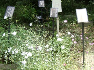 e0197164_10264416.jpg