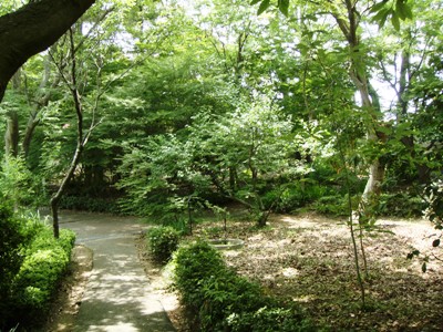 e0197164_10292858.jpg