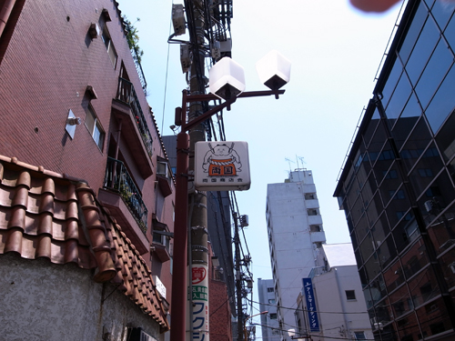 c0048265_1641882.jpg