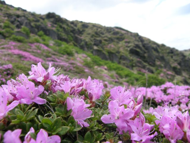 c0042869_21273747.jpg