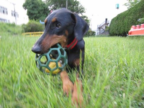 f0025769_2012648.jpg