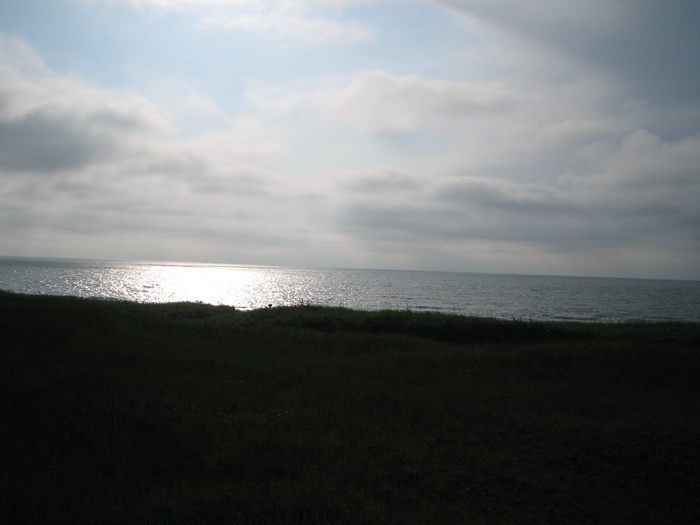 d0005370_1112250.jpg