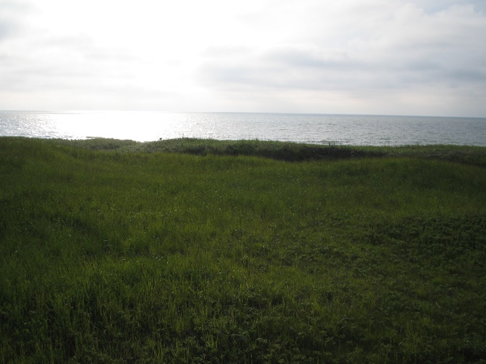 d0005370_11123374.jpg