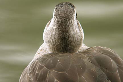 a0121671_2220012.jpg