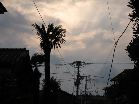 a0167672_2133388.jpg