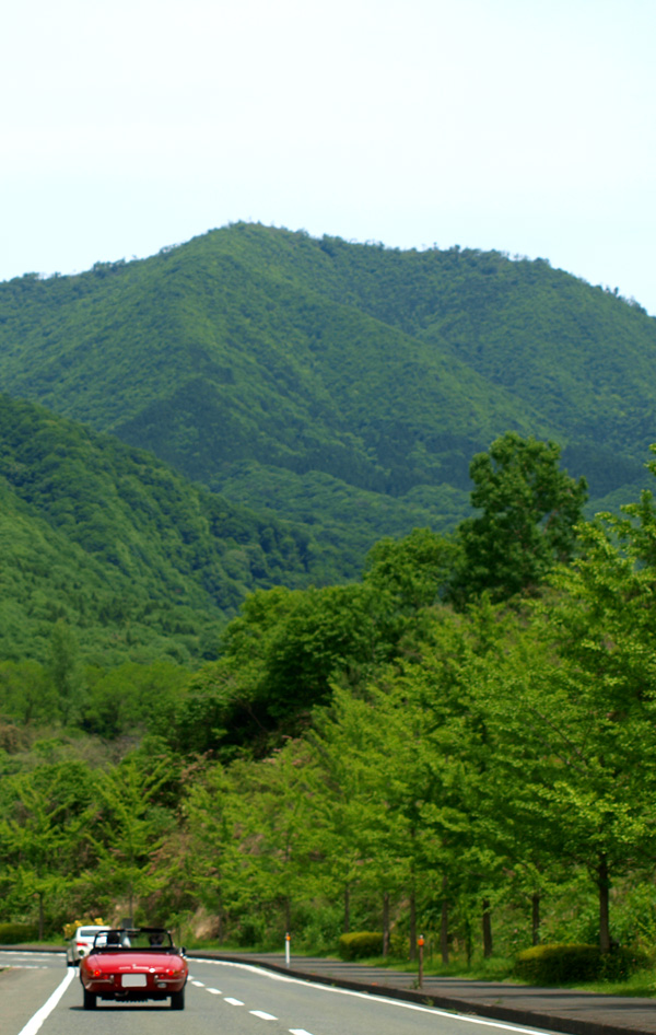 d0141173_0374383.jpg