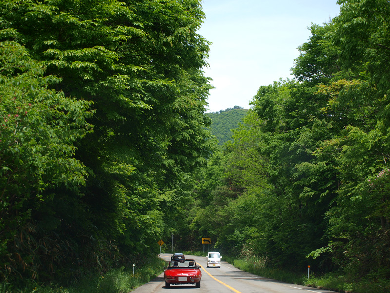 d0141173_0395781.jpg