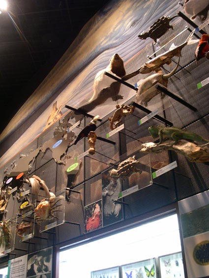 e0118274_22312838.jpg