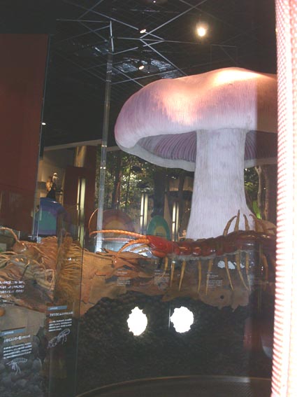 e0118274_22355533.jpg