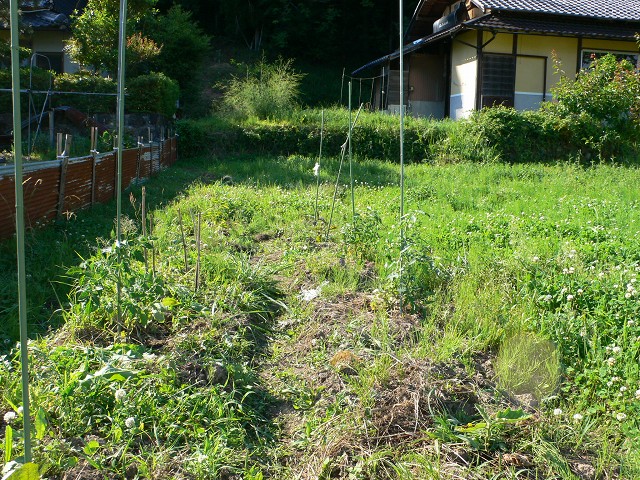 b0042882_1033385.jpg