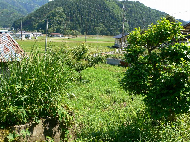 b0042882_1063657.jpg
