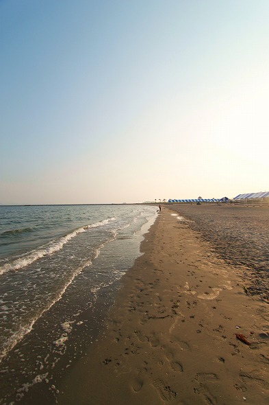 f0238184_23565580.jpg