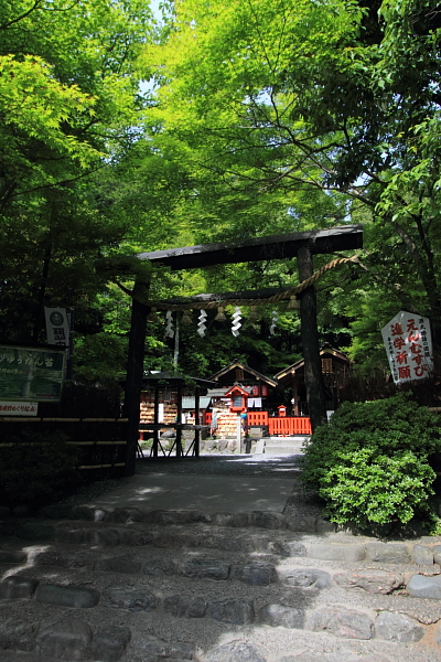e0051888_0475180.jpg