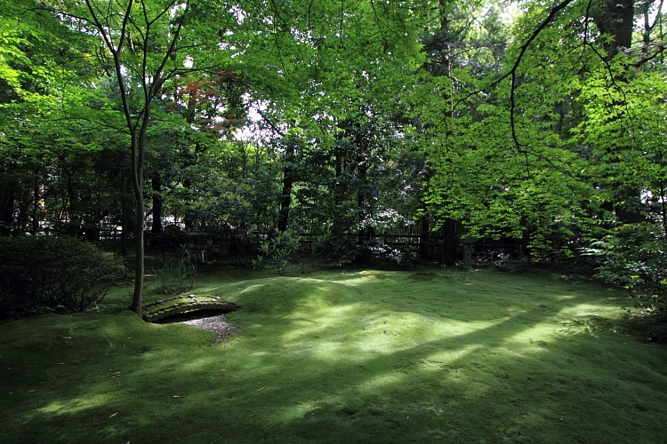 e0051888_0482033.jpg