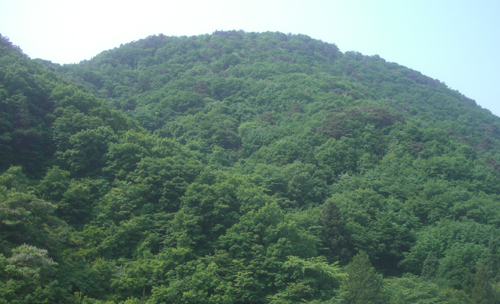 b0099994_10501131.jpg