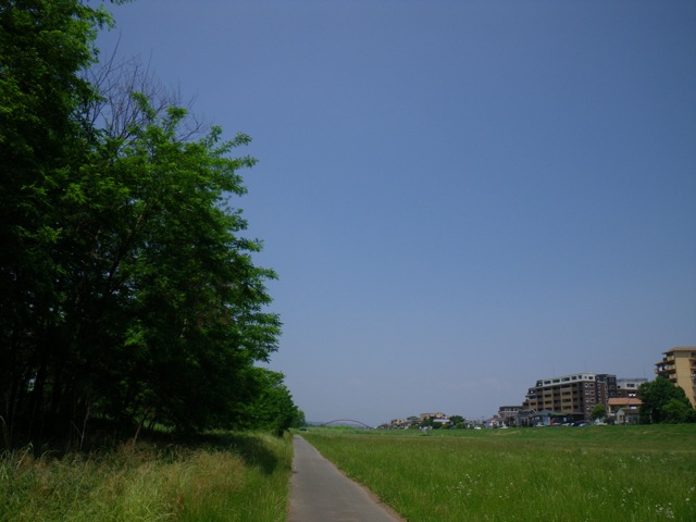 c0193396_12185557.jpg
