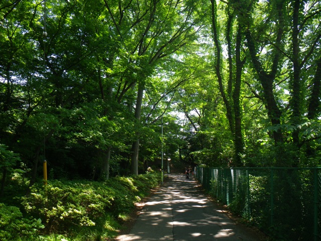 c0193396_12194378.jpg