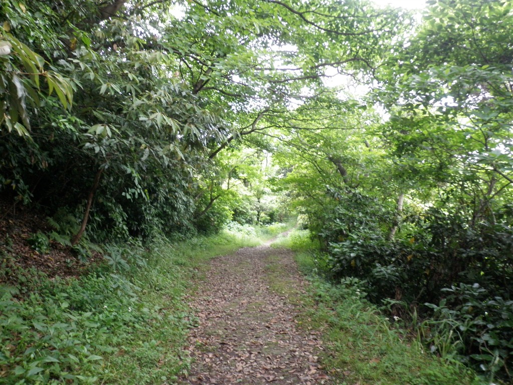d0122797_16572087.jpg