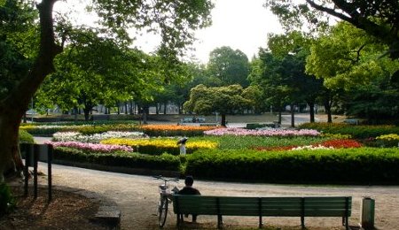 a0031000_17264143.jpg