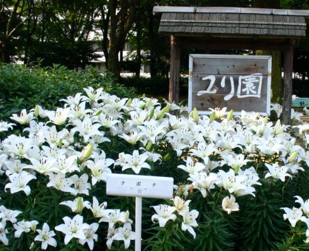 a0031000_1727831.jpg