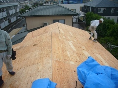 a0163400_1422416.jpg