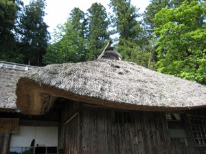 e0033301_9323567.jpg