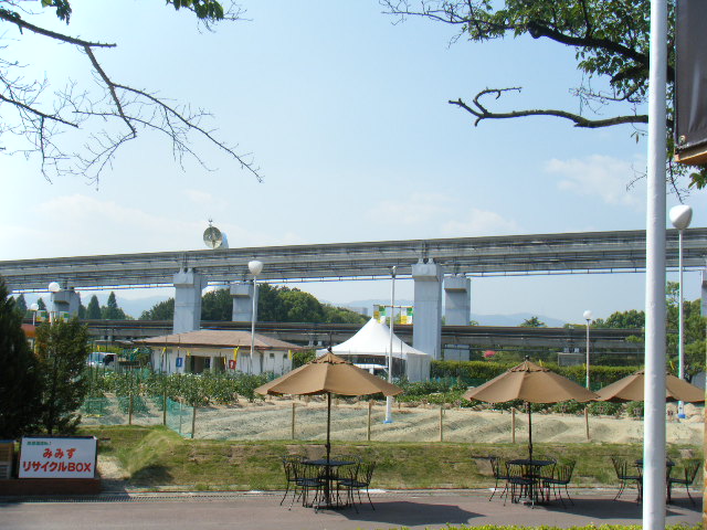a0050302_8221459.jpg