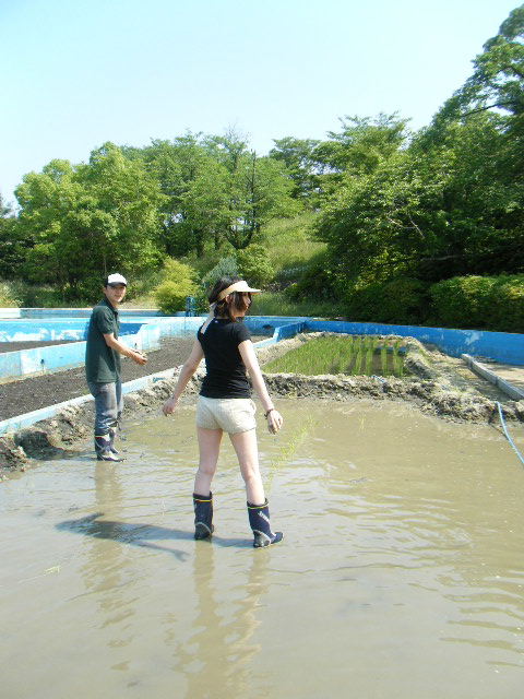 a0050302_8281315.jpg