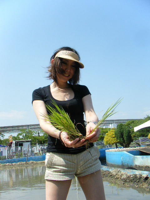 a0050302_829646.jpg