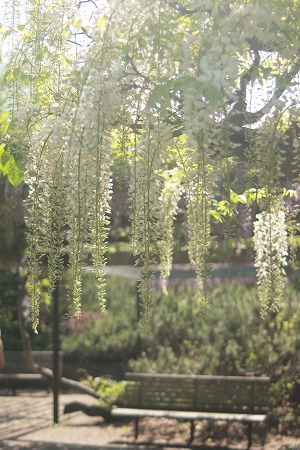 c0202705_21374470.jpg