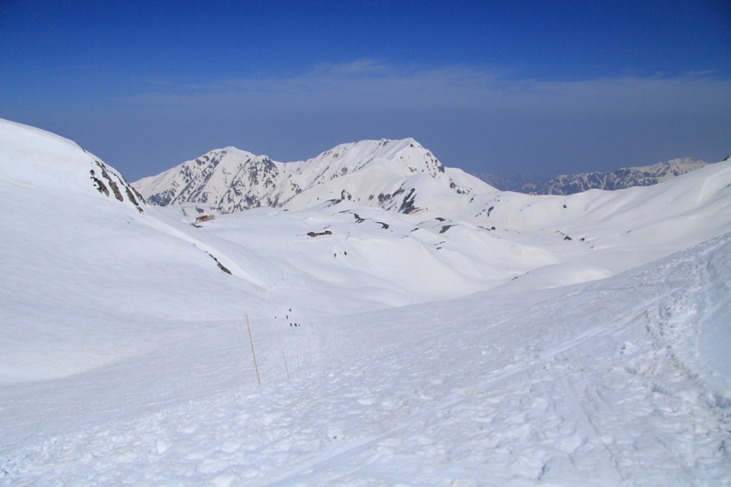 b0180907_1551184.jpg