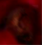 e0103408_1943452.gif