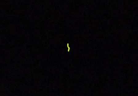 e0078510_055633.jpg