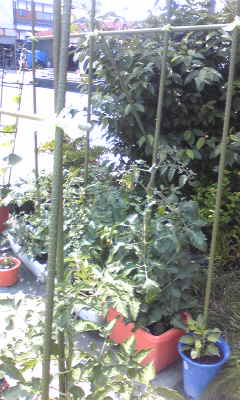 b0150911_9365520.jpg
