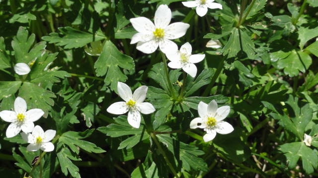 f0233414_045016.jpg