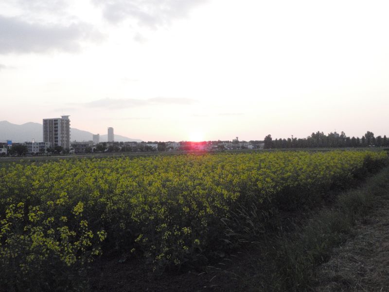 c0025115_20205547.jpg