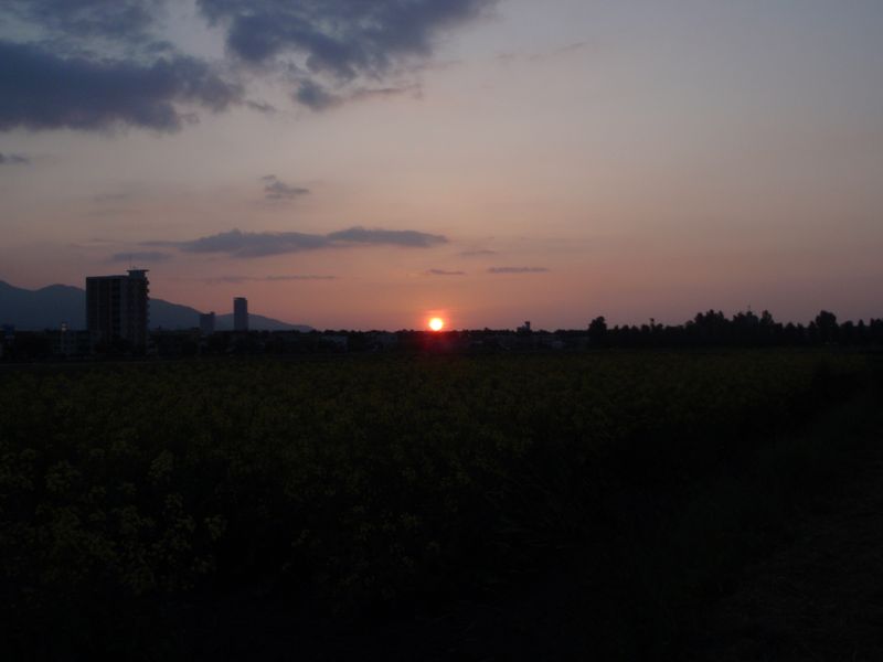 c0025115_20213857.jpg