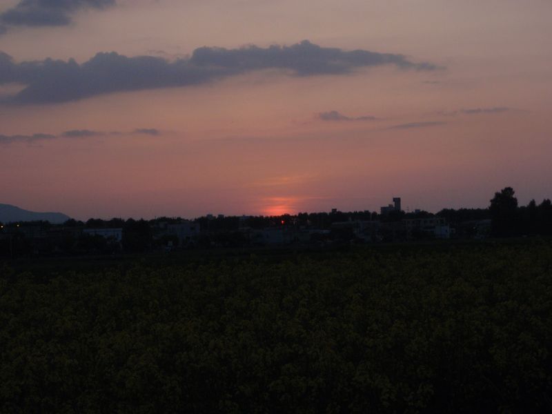 c0025115_20255997.jpg