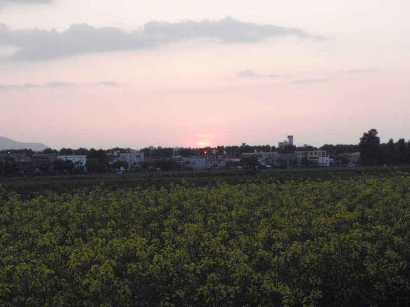 c0025115_20264062.jpg