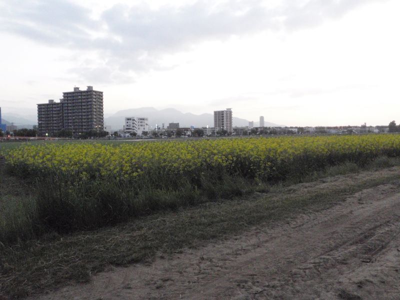 c0025115_2028162.jpg