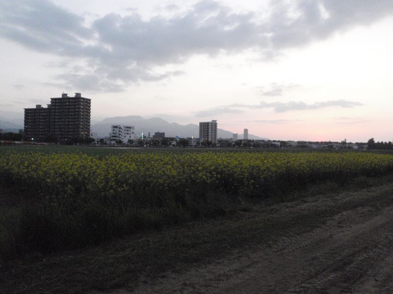 c0025115_20282730.jpg