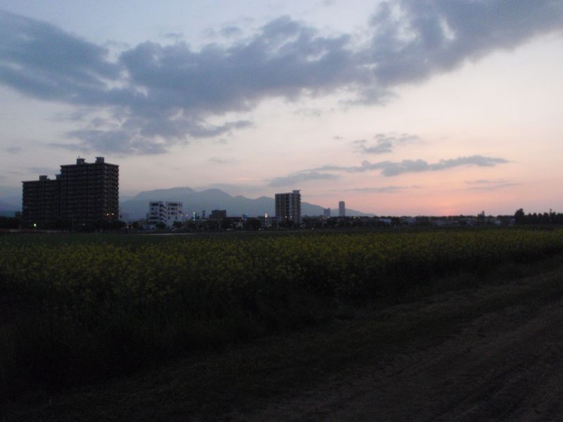 c0025115_20283777.jpg