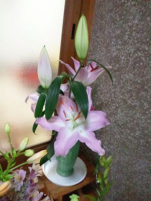 c0145016_126203.jpg