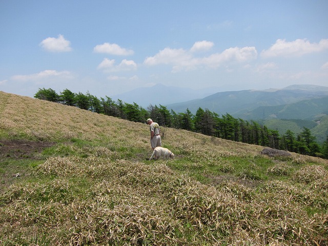e0192217_6261154.jpg