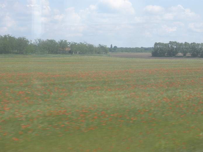 a0163227_11151776.jpg