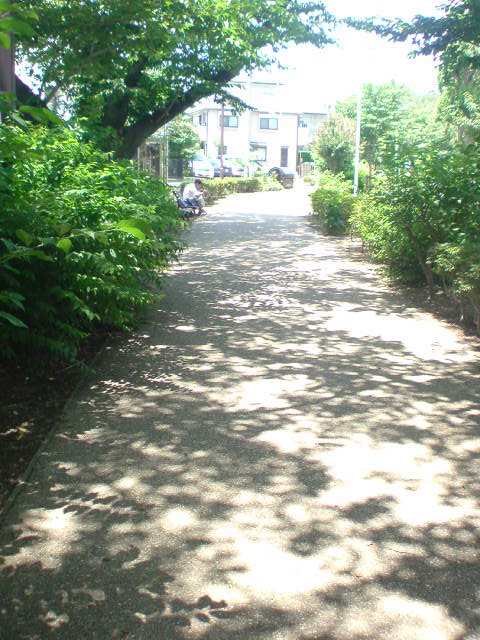 e0016828_10164367.jpg