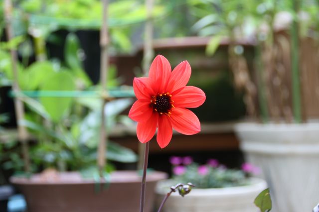 e0033229_2133021.jpg